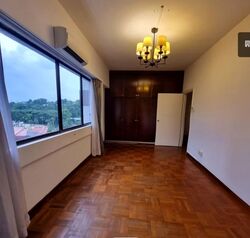 The Cairnhill (D9), Condominium #598382771